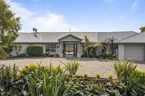 Photo of property in 77 Tender Road, Dairy Flat, Albany, 0794