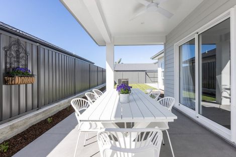 Photo of property in 10 Whangaehu Place, Awatoto, Napier, 4110