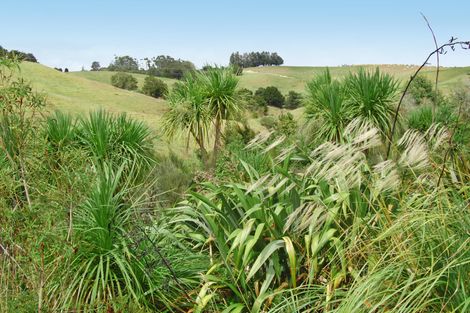 Photo of property in 126 Oneriri Road, Kaiwaka, 0573