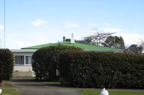 Photo of property in 8 Macarthur Street, Levin, 5510