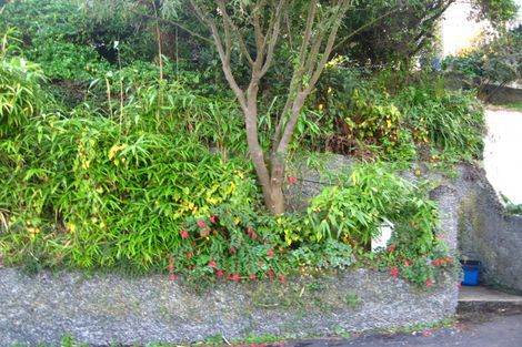 Photo of property in 41 Chambers Street, North East Valley, Dunedin, 9010