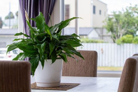 Photo of property in 45 Dillon Street, Waihi Beach, 3611