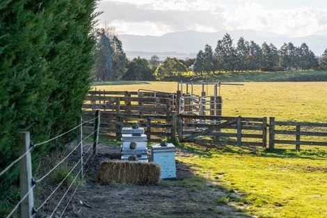 Photo of property in 24 Fraters Road, Martinborough, 5781