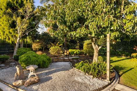 Photo of property in 16 Elder Lane, Bethlehem, Tauranga, 3110