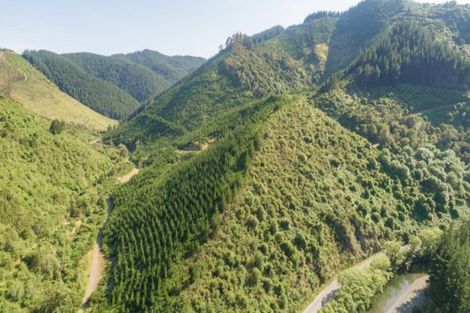 Photo of property in 641 Aniseed Valley Road, Aniseed Valley, Richmond, 7081