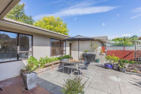 Photo of property in 28a Porangahau Road, Waipukurau, 4200