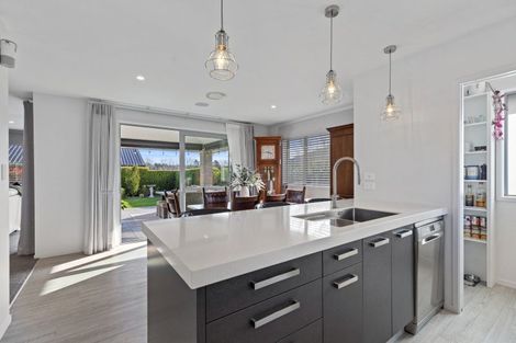 Photo of property in 97 Puhirake Crescent, Pyes Pa, Tauranga, 3112