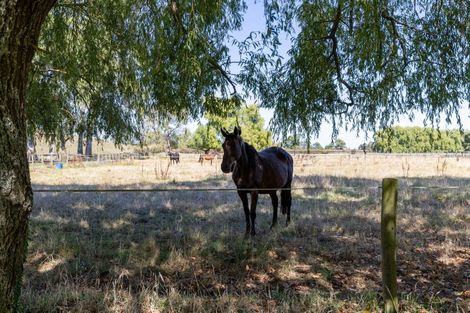 Photo of property in 1073 Victoria Road, Tauwhare, Hamilton, 3287