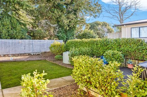 Photo of property in 53a Allen Street, Morrinsville, 3300