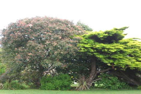 Photo of property in 68 Woodlands Road, Opotiki, 3122