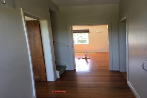 Photo of property in 2 Rodney Street, Northland, Wellington, 6012