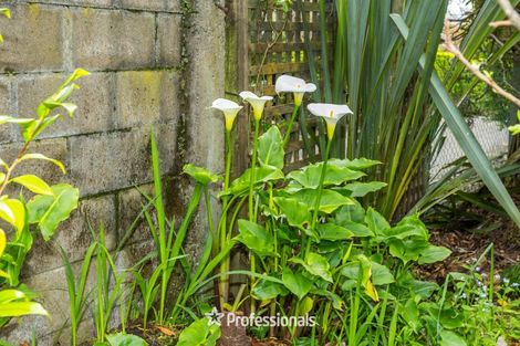 Photo of property in 14 Prouse Grove, Silverstream, Upper Hutt, 5019