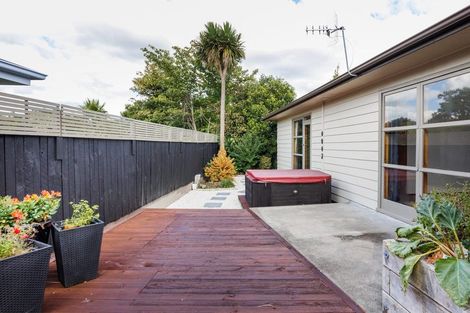 Photo of property in 38 Winston Avenue, Hokowhitu, Palmerston North, 4410