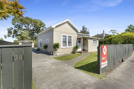 Photo of property in 28 Summerhays Street, Terrace End, Palmerston North, 4410