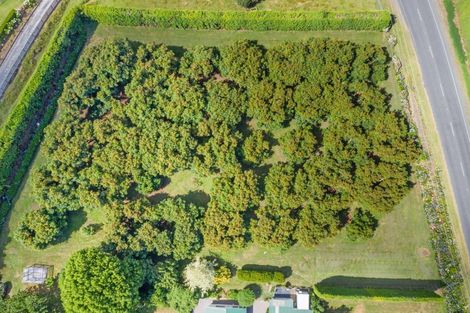 Photo of property in 350 Esdaile Road, Whakamarama, Tauranga, 3180