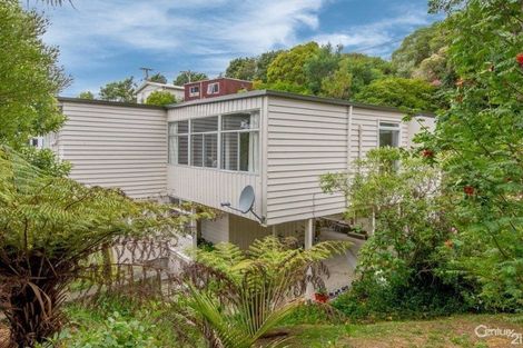 Photo of property in 14a Balfour Street, Mornington, Wellington, 6021