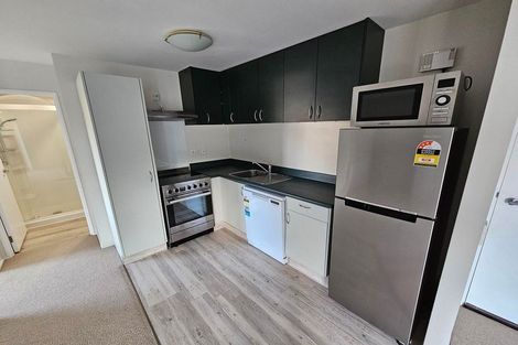 Photo of property in Palm Grove Apartments, 1/13c Palm Grove, Berhampore, Wellington, 6023