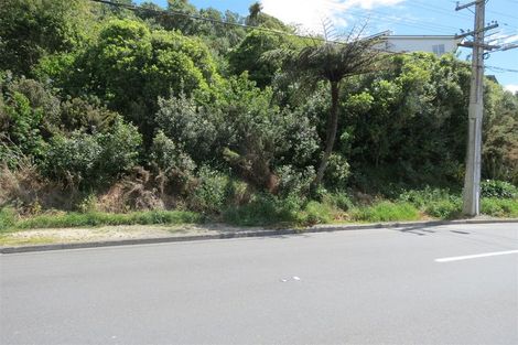 Photo of property in 141 Ironside Road, Johnsonville, Wellington, 6037
