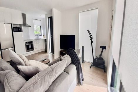 Photo of property in 34a Allenby Road, Panmure, Auckland, 1072