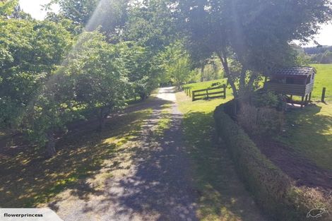 Photo of property in 491 Palmer Mill Road, Wairakei, Taupo, 3384