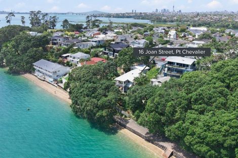 Photo of property in 16 Joan Street, Point Chevalier, Auckland, 1022