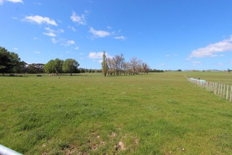Photo of property in 13 Farm Road, Waipukurau, 4284