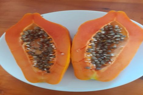 Photo of property in 156 Petley Road, Paparoa, 0571