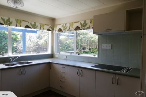 Photo of property in 163 Tutere Street, Waikanae Beach, Waikanae, 5036