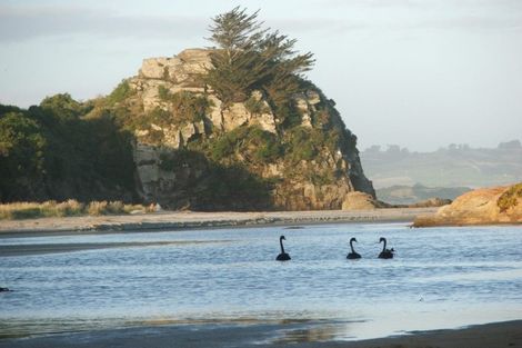 Photo of property in 23 Seaview Road, Brighton, Dunedin, 9035