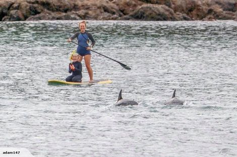 Photo of property in 203 Houghton Bay Road, Houghton Bay, Wellington, 6023