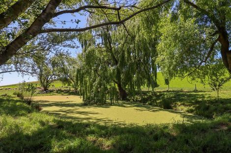 Photo of property in 231 Robinson Road, Cave, Pleasant Point, 7983