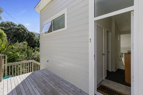 Photo of property in 44 Moffitt Street, Vogeltown, Wellington, 6021
