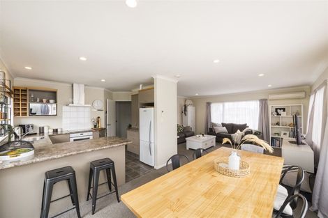 Photo of property in 62 Fraser Drive, Feilding, 4702