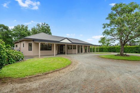 Photo of property in 279 Peak Road, Kaukapakapa, Helensville, 0875