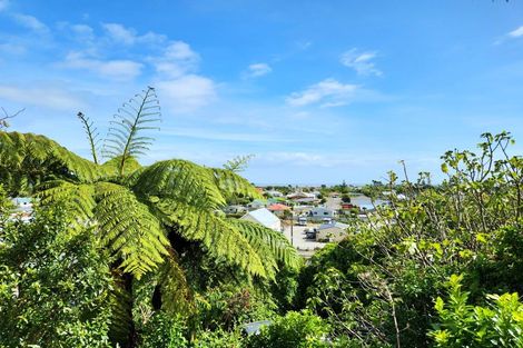 Photo of property in 7 Ashmore Avenue, Cobden, Greymouth, 7802