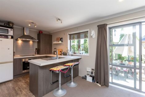 Photo of property in 16 Stadium Lane, Whitiora, Hamilton, 3200
