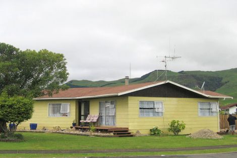 Photo of property in 17 Mcdonald Place, Paeroa, 3600