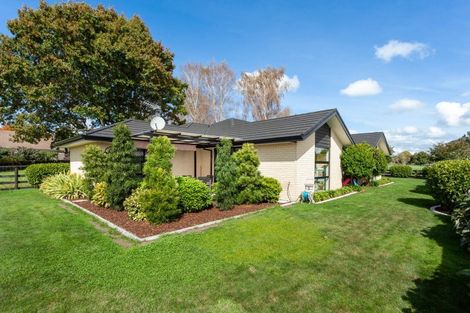 Photo of property in 35 Banks Road, Matamata, 3400