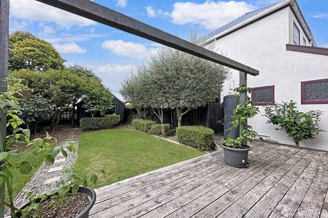 Photo of property in 5a Mountain View Road, Witherlea, Blenheim, 7201