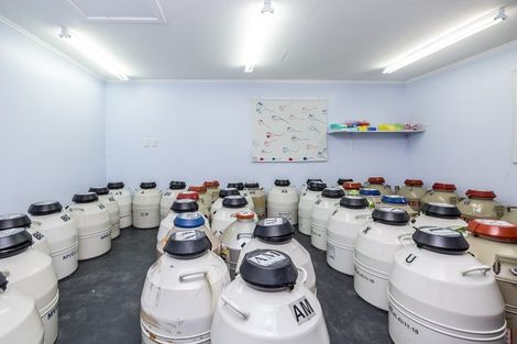 Photo of property in 80541 Masterton Road, Woodville, 4999