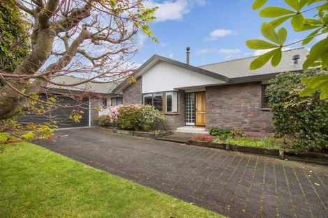 Photo of property in 49 Levley Lane, Katikati, 3129