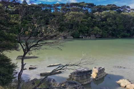 Photo of property in 503 Te Akau Wharf Road, Te Akau, Ngaruawahia, 3793