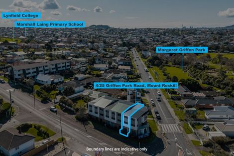 Photo of property in 4/25 Griffen Park Road, Mount Roskill, Auckland, 1041