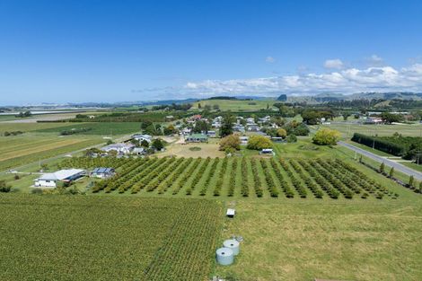 Photo of property in 17 Cemetery Road, Patutahi, Gisborne, 4072