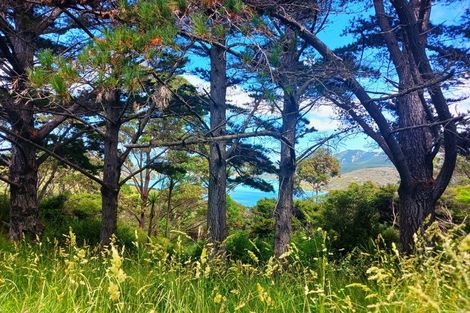 Photo of property in 184 Whangape Road, Herekino, Kaitaia, 0481