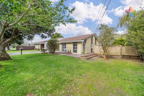 Photo of property in 24 Brook Street, Waiwhetu, Lower Hutt, 5011