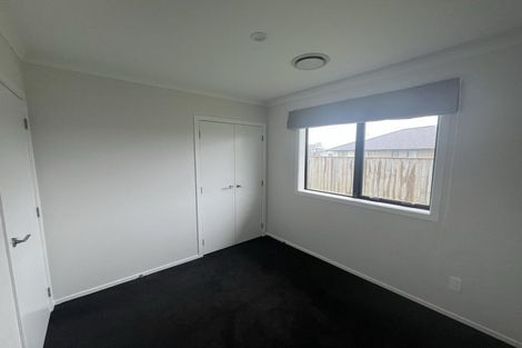 Photo of property in 68 Hinemoa Street, Levin, 5510
