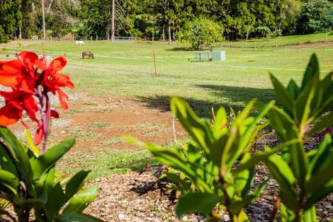 Photo of property in 76 Riddell Road, Kerikeri, 0230