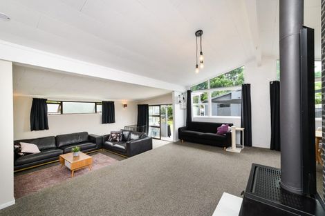 Photo of property in 61 Langley Avenue, Milson, Palmerston North, 4414