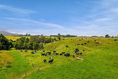 Photo of property in 955 Opua Road, Opunake, 4681